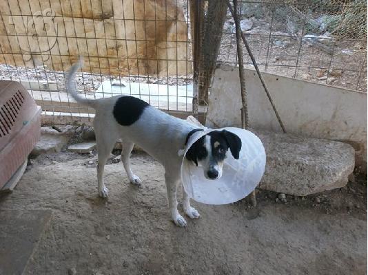 Η Φρηντα ψαχνει οικογενοια