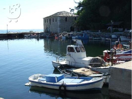 ΘΑΣΟΣ ΧΡΥΣΗ ΑΚΤΗ