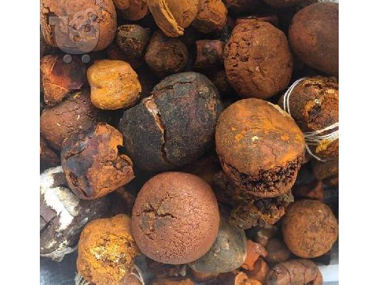 PoulaTo: Buy cow /Ox Gallstone Available On Stock Now @ (WhatsApp: +237673528224)