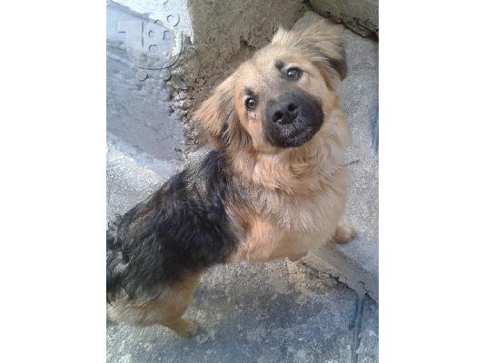 PoulaTo: Η Λάρα χαριζεται