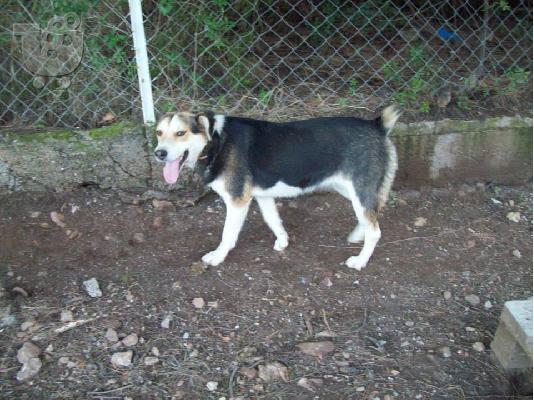 PoulaTo: Η Βιρνα χαριζεται