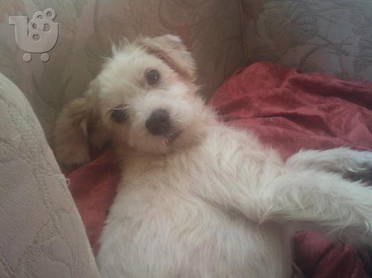 PoulaTo: Κανισακι χαριζεται