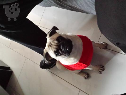 PoulaTo: πωλείται παγκ