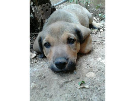 PoulaTo: έλα απο κοντα να με δεις και αμεσως θα με ερωτευτεις!