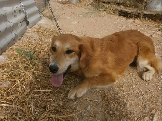 H μικροσωμη Σιμον χαριζεται
