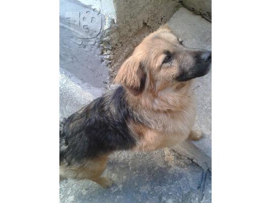 Η Λάρα χαριζεται