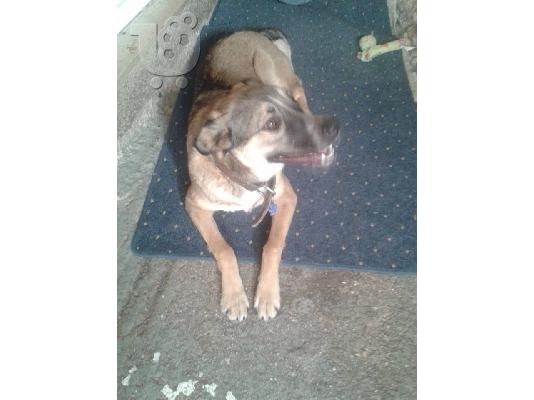 PoulaTo: Η Λιζα ψαχνει σπιτι