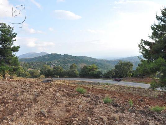 3 Αγροτεμάχια στη Σέτα Ευβοίας