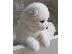 PoulaTo: Κουτάβια Samoyed