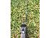 PoulaTo: Flex Giant XL 8m