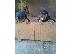 PoulaTo: Rottweiler