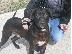 PoulaTo: o νεαρος Blacky χαριζεται
