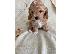 PoulaTo: Cavapoo Red