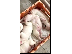 PoulaTo: dogo argentino koutavia
