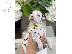 PoulaTo: Dalmatian puppies
