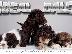 PoulaTo: Lagotto Romagnolo κουτάβια