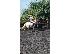 PoulaTo: 13.2 Appaloosa For Loan/share