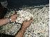 PoulaTo: WE CAN HELP YOU WITH GENUINE LOAN THAT MEET YOUR NEEDS