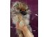 PoulaTo: Pomeranian Spitz αρκουδάκια