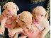 PoulaTo: Pitbull
