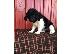 PoulaTo: Newfoundland Puppies