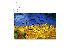 PoulaTo: Detail from Wheatfield with Crows by Van Gogh 60x90 εκ.